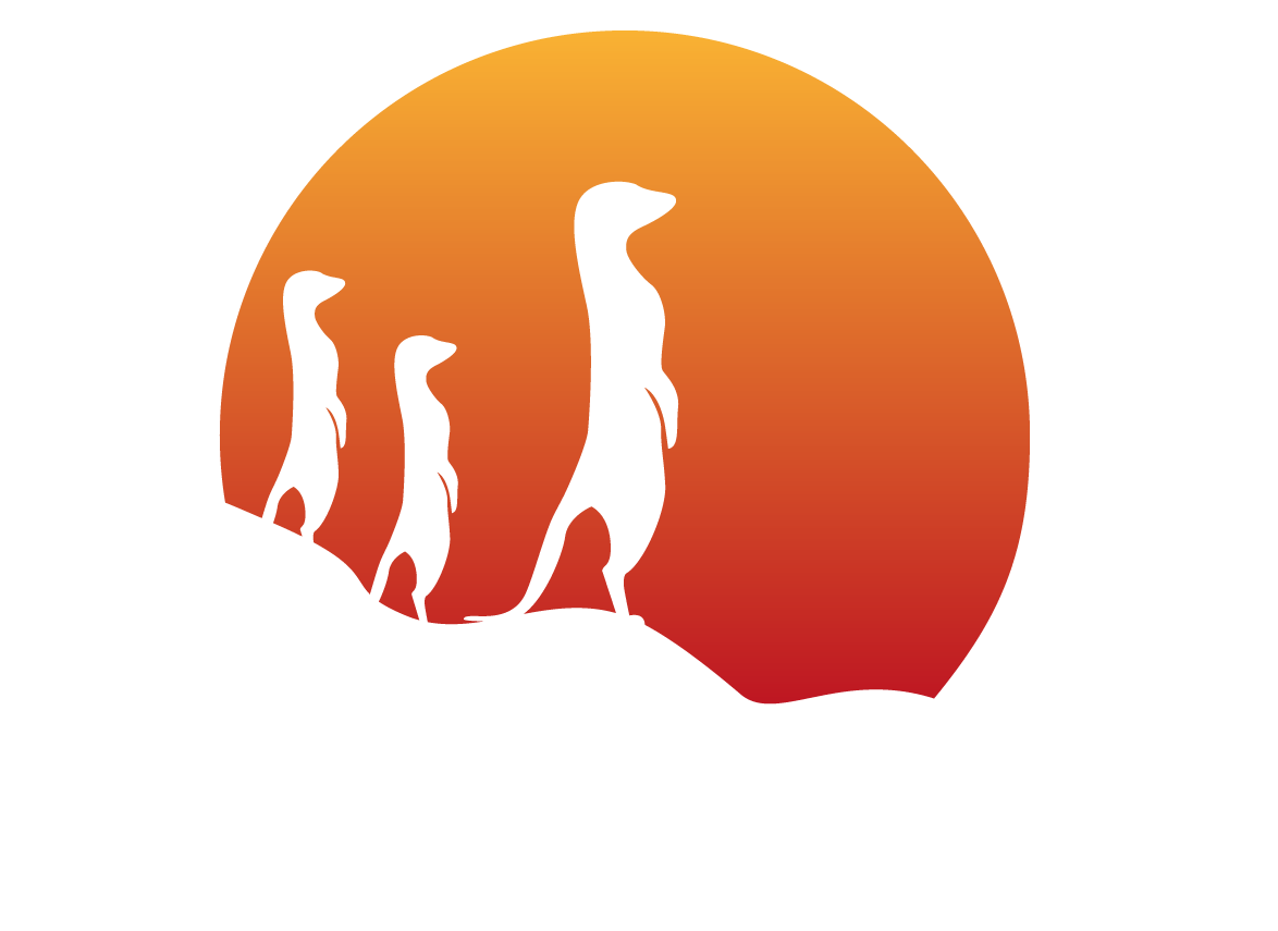 Suricata logs