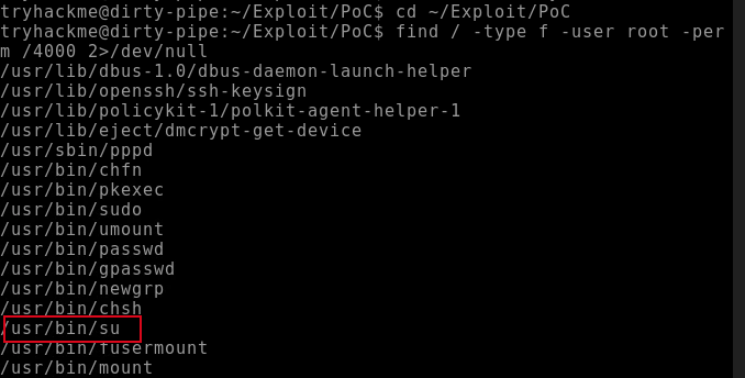 DirtyPipe exploit